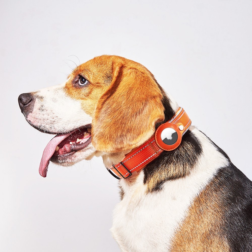 Apple AirTag Hundhalsband med reflexer S, svart
